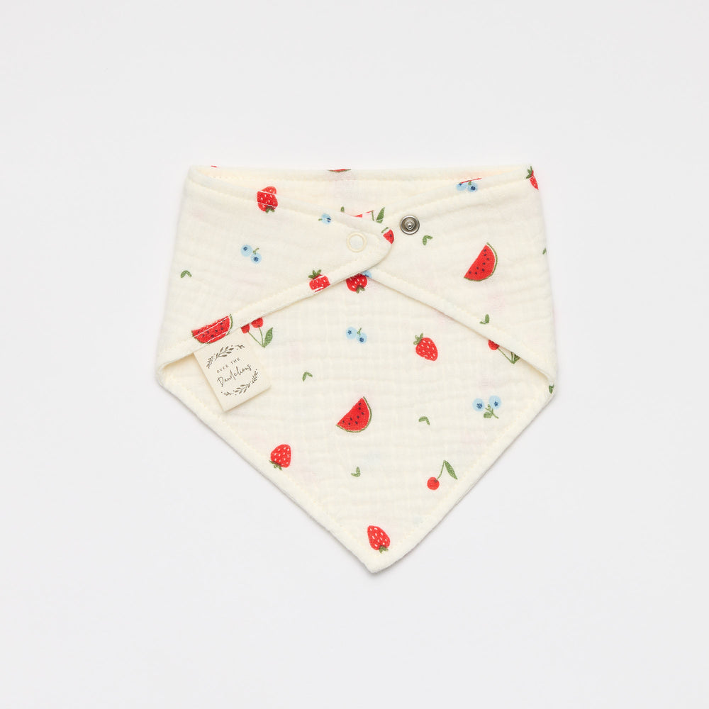Baby Dribble Bib - strawberry watermelon fruit print 