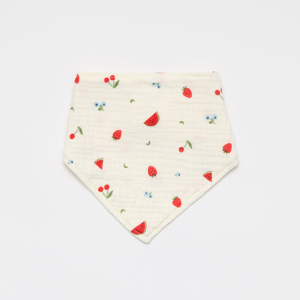Baby Dribble Bib - strawberry watermelon fruit print 