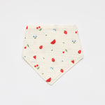 Baby Dribble Bib - strawberry watermelon fruit print 