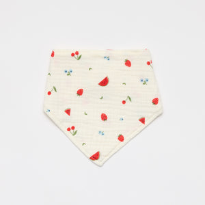 Baby Dribble Bib - strawberry watermelon fruit print 