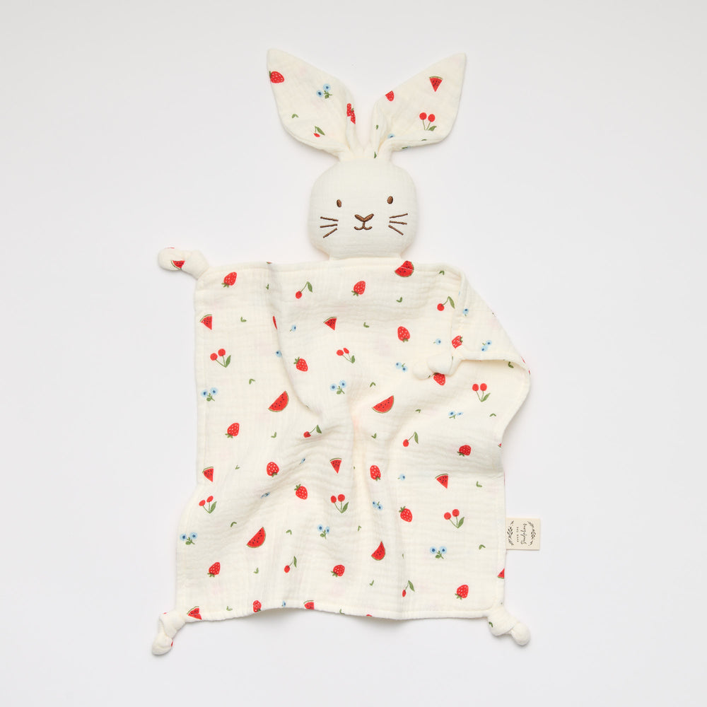 Bunny Lovey Baby Comforter with watermelon and strawberry print 