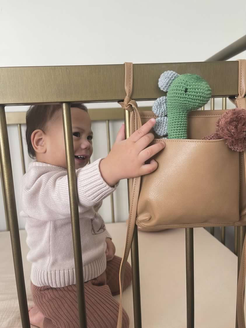 Dinosaur Rattles Crochet Dinosaur Rattle – Over the Dandelions