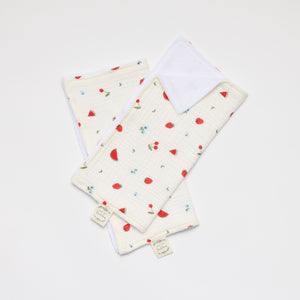 Wash cloth set of 2 with watermelon and strawberry print 