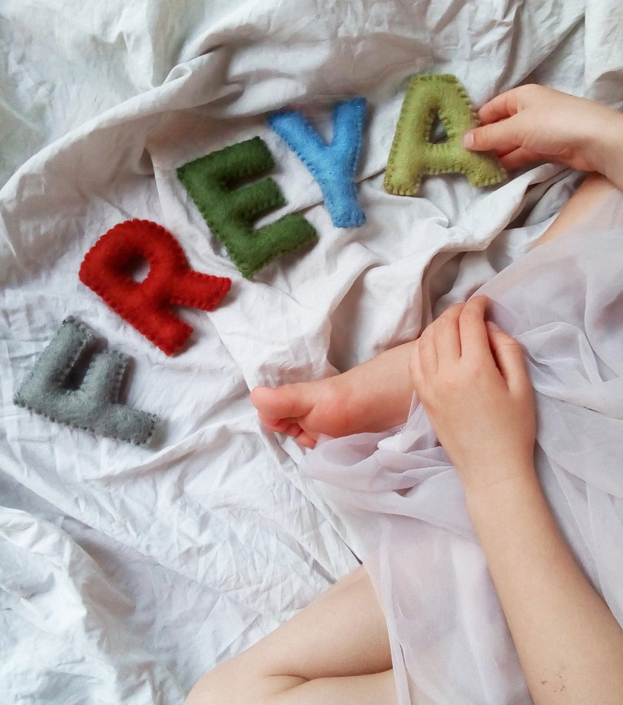 Felt alphabet set letters A-Z preschooler learning through play